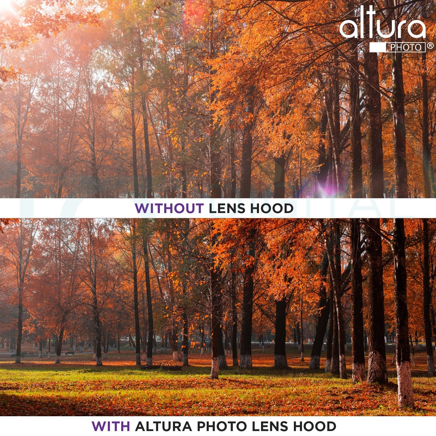 Altura Photo 58MM Tulip Flower Lens Hood for Canon EOS 77D 80D 90D Rebel T8i T7 T7i T6i T6s T6 SL2 SL3 DSLR Cameras with Canon EF-S 18-55mm f/3.5-5.6 is Lens and Select Nikon Lenses - Image 4