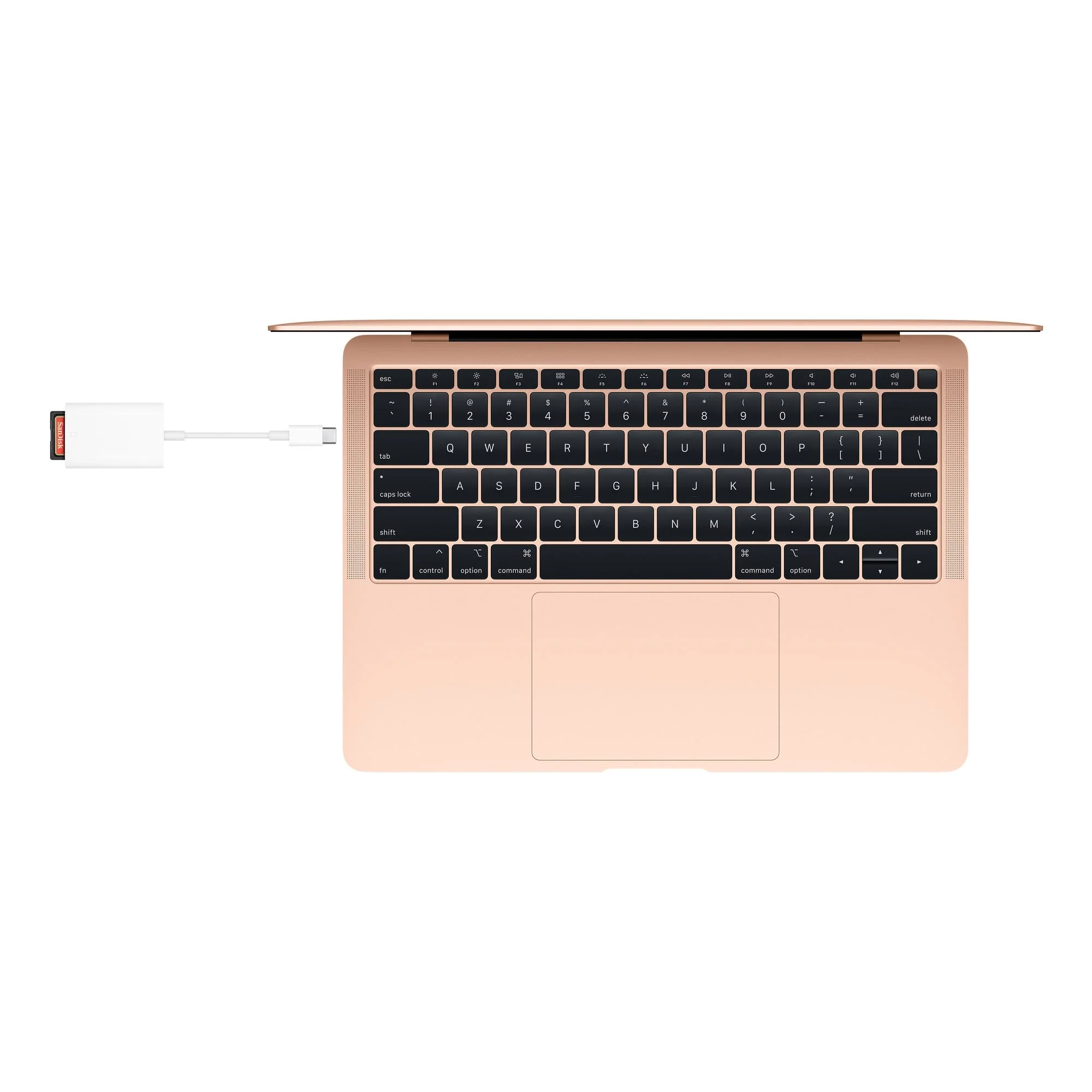 Apple USB-C to SD Card Reader - Image 4