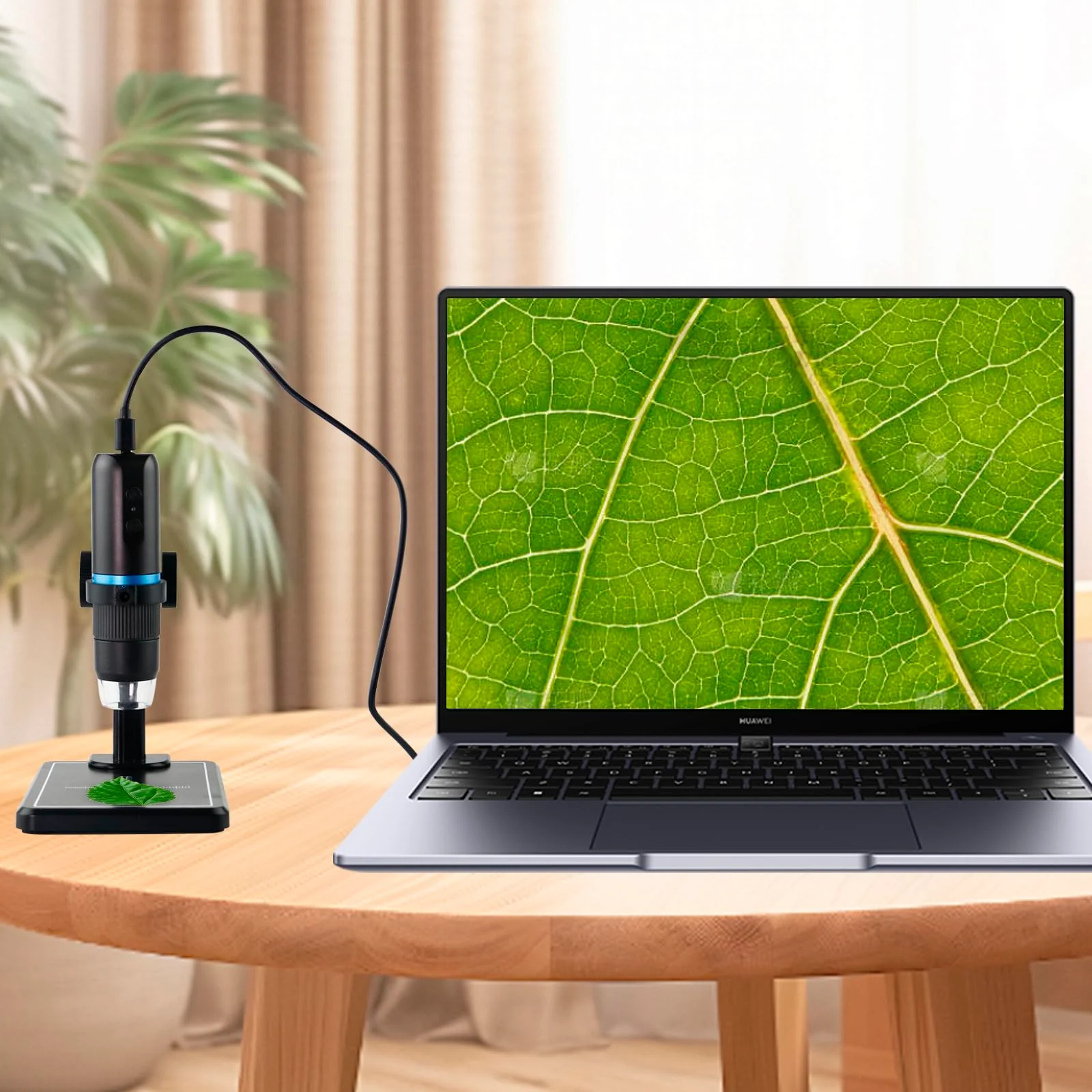 Beileshi WiFi USB Digital 50X to 1000X Digital Microscope with Stand, 8 LEDs,Supports APP,Compatible with iPhone iPad Android Mac Windows Wireless Microscope
