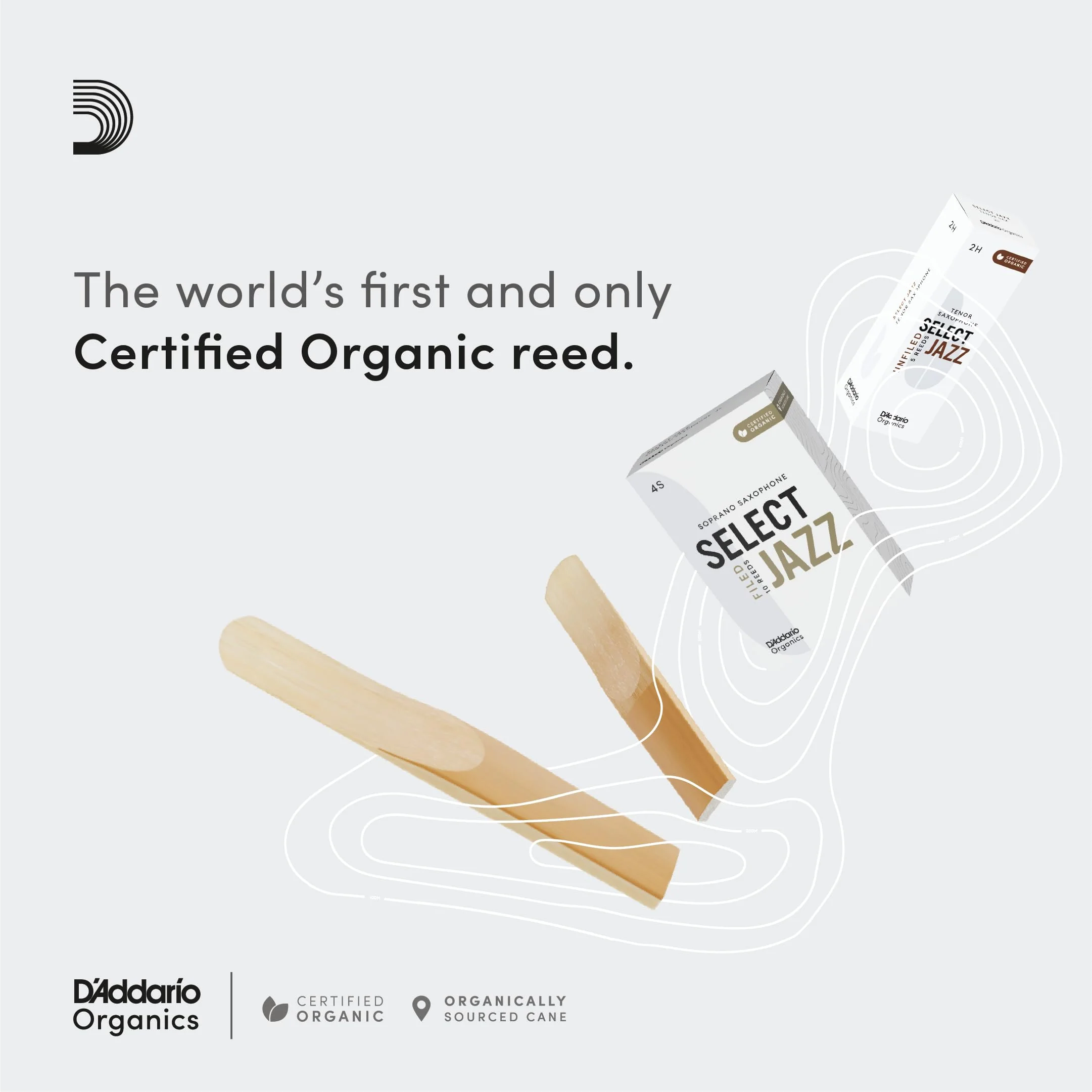 D’Addario Woodwinds - Organic Select Jazz Soprano Saxophone Reeds - Soprano Sax Reeds - Individually Sealed - Unfiled, Hard, Strength 2, 3-Pack - Image 3