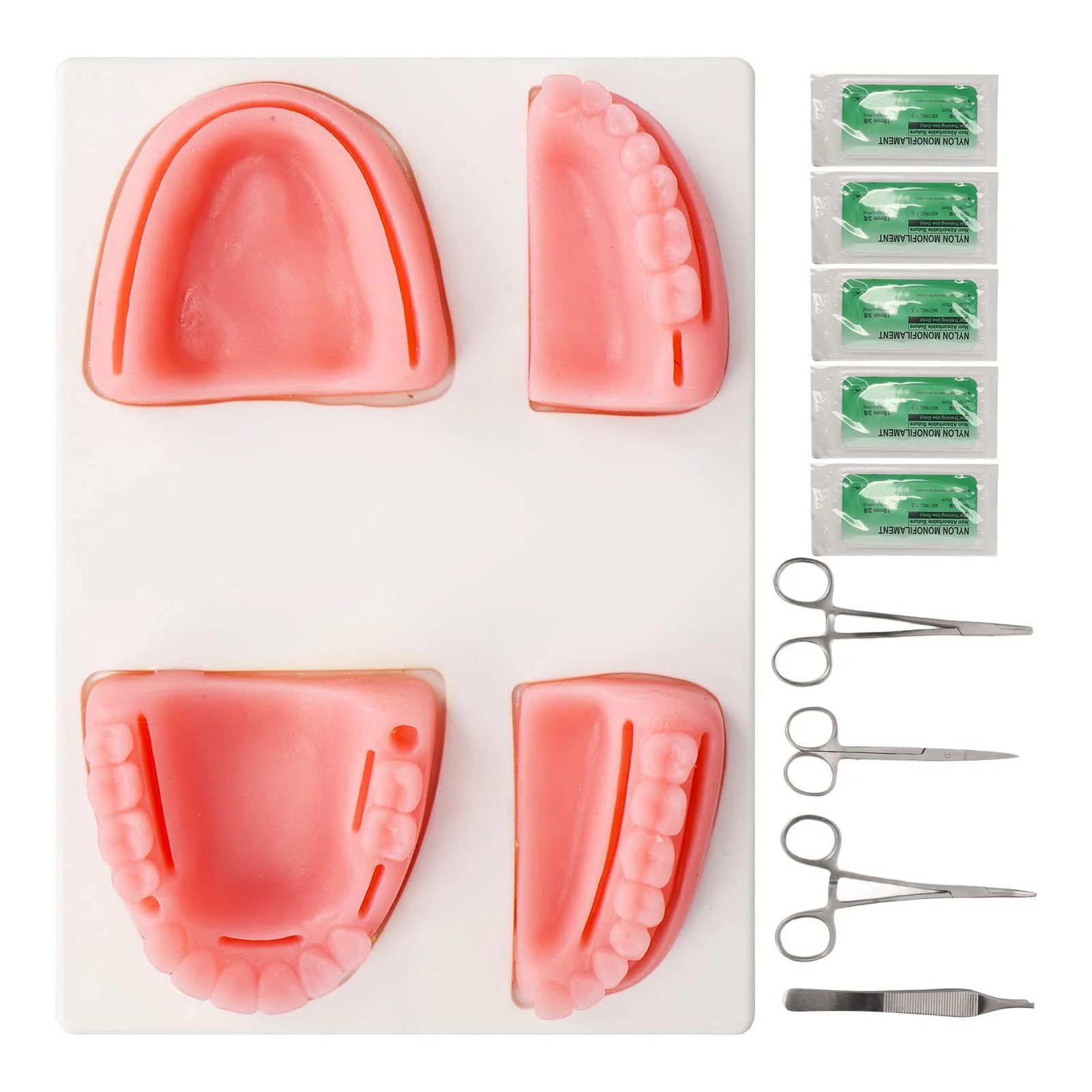 Fyearfly Oral Suture Training Set, Dental Suture Exercise Set, Dental Suture Practice Kit, Silicone Model Pliers, Tweezers, Thread Oral Suture Training Kit for Suture Training in Dentistry