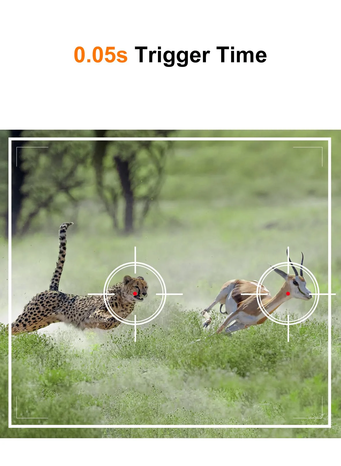Trail Camera - 4K 48MP Game Camera with Night Vision, 0.05s Trigger Motion Activated Hunting Camera, IP66 Waterproof, 130 Wide-Angle with 46pcs No Glow Infrared Leds for Outdoor Wildlife Green - Image 3